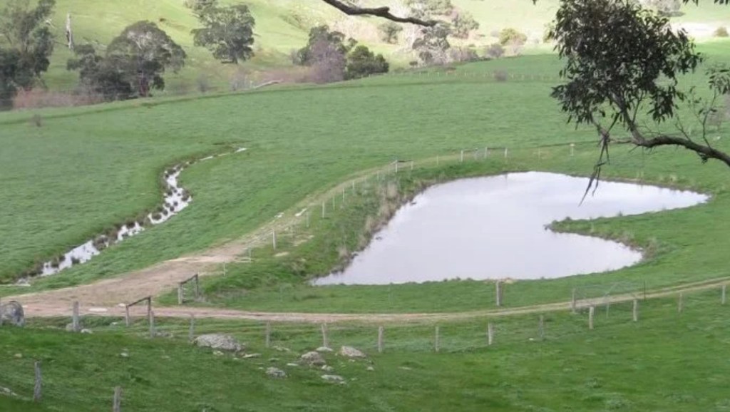 regrarians.org swale and pond