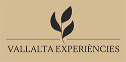 logo-vallalta-experiencies.png