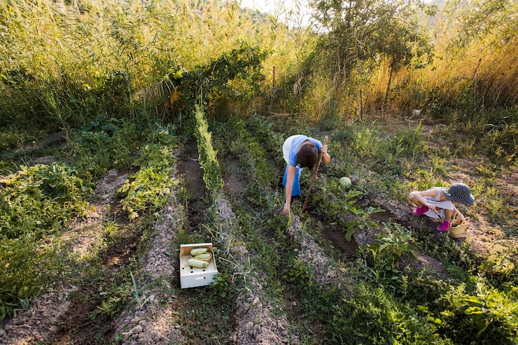 retener agua en una finca